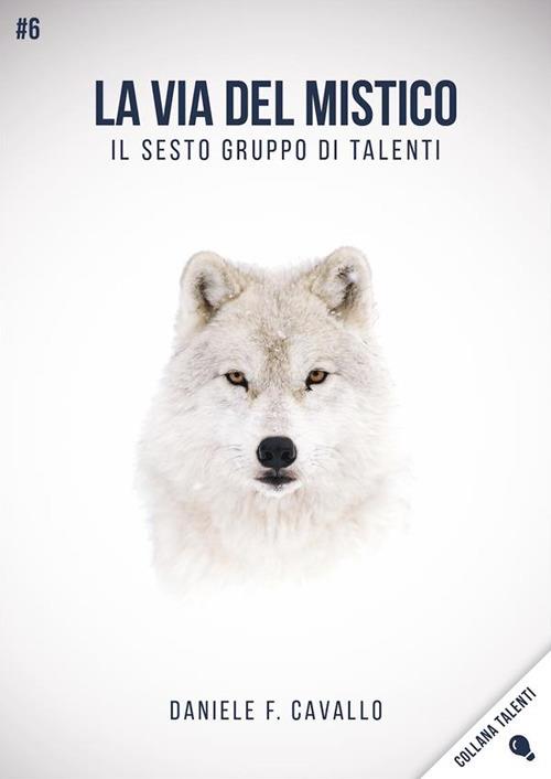 La via del mistico. Il sesto gruppo di talenti - Daniele Francesco Cavallo - ebook