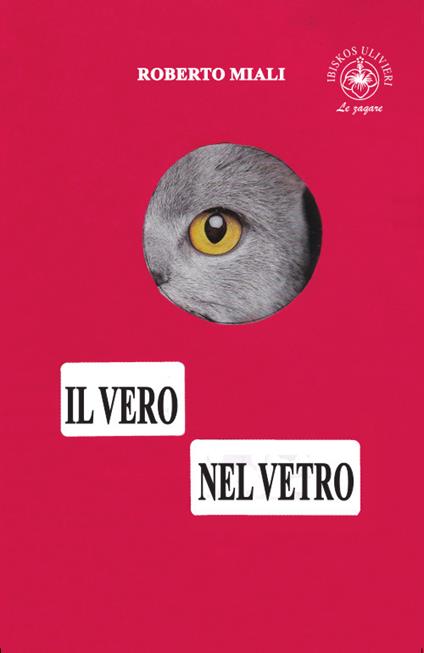 Il vero nel vetro - Roberto Miali - copertina