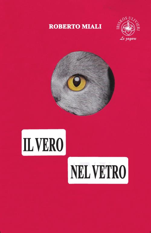 Il vero nel vetro - Roberto Miali - copertina