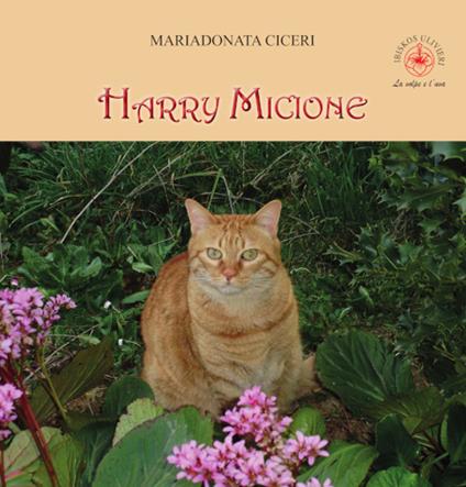 Harry micione - Mariadonata Ciceri - copertina