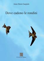 Dove cadono le rondini