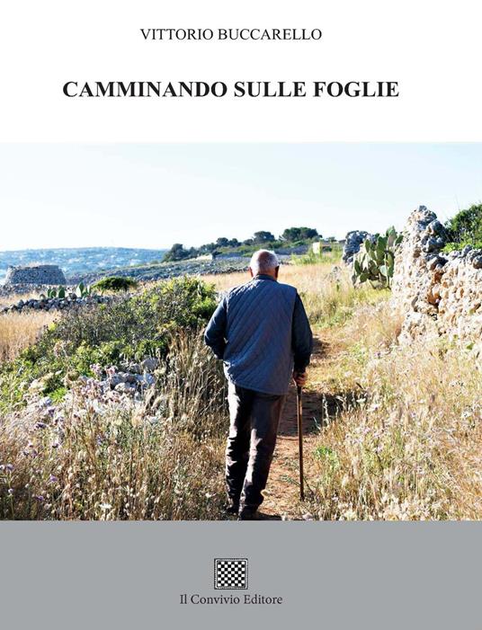 Camminando sulle foglie - Vittorio Buccarello - copertina