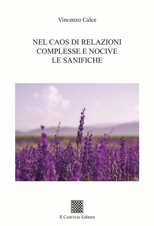 Nel caos di relazioni complesse le sanifiche - Vincenzo Calce - copertina