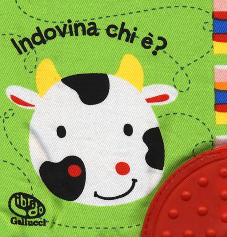 Indovina chi è? I batuffolibri. Ediz. a colori - Francesca Ferri - copertina