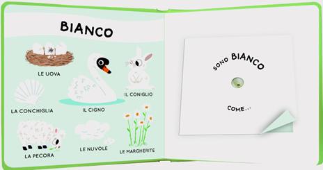 La natura. Il mio libro degli odori e dei colori. Ediz. a colori - Mr Iwi - 3