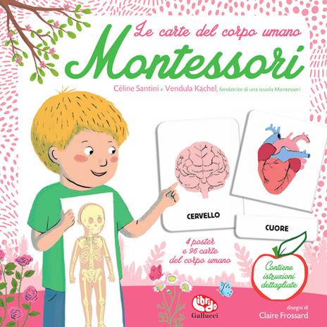 Le carte del corpo umano. Montessori. Ediz. a colori - Céline Santini,Vendula Kachel - copertina