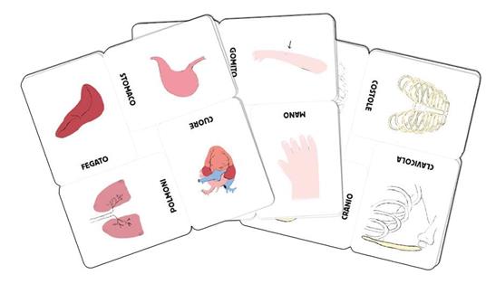 Le carte del corpo umano. Montessori. Ediz. a colori - Céline Santini,Vendula Kachel - 2