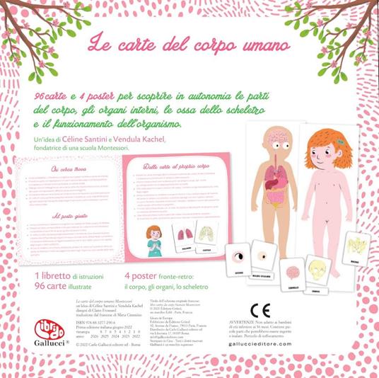 Le carte del corpo umano. Montessori. Ediz. a colori - Céline Santini,Vendula Kachel - 3