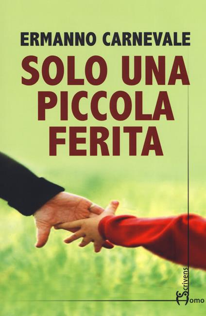 Solo una piccola ferita - Ermanno Carnevale - copertina