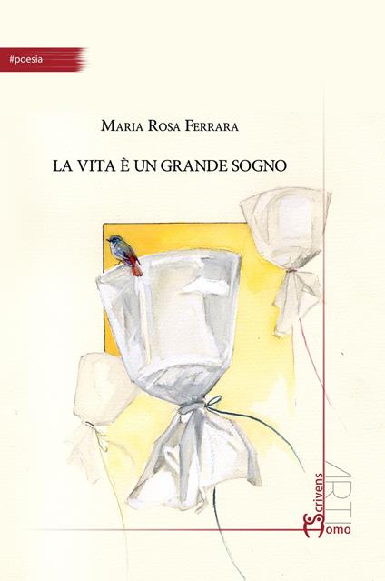 La vita è un grande sogno - Maria Rosa Ferrara - copertina