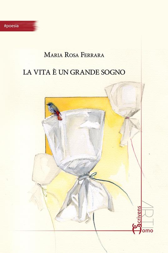 La vita è un grande sogno - Maria Rosa Ferrara - copertina