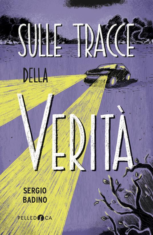 Sulle tracce della verità  - Sergio Badino - copertina