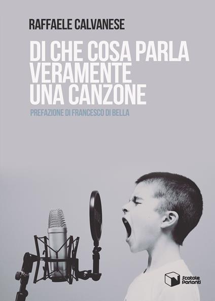 Di che cosa parla veramente una canzone - Raffaele Calvanese - copertina