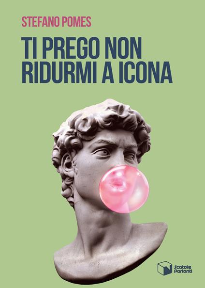 Ti prego non ridurmi a icona - Stefano Pomes - copertina