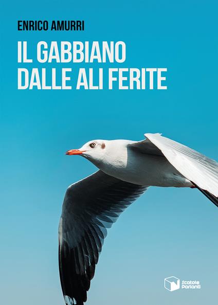Il gabbiano dalle ali ferite - Enrico Amurri - copertina