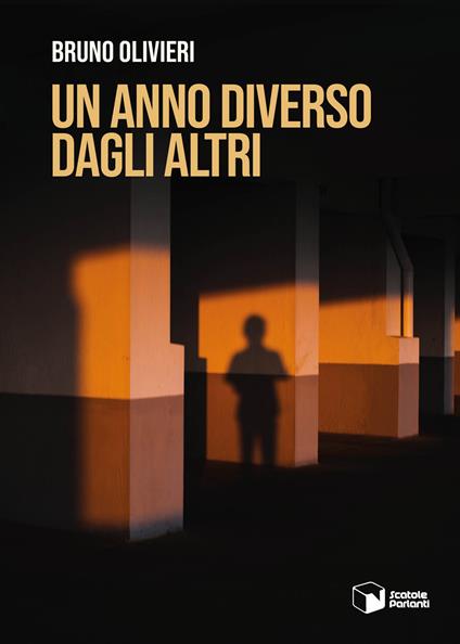 Un anno diverso dagli altri - Bruno Olivieri - copertina