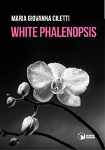 White Phalenopsis