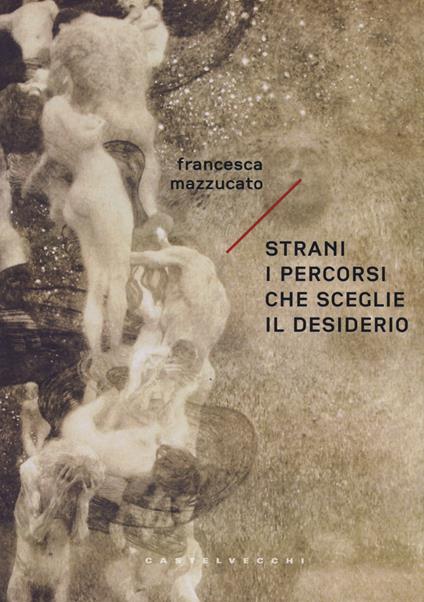 Strani i percorsi che sceglie il desiderio - Francesca Mazzucato - copertina