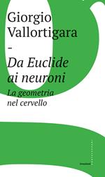 Da Euclide ai neuroni. La geometria nel cervello