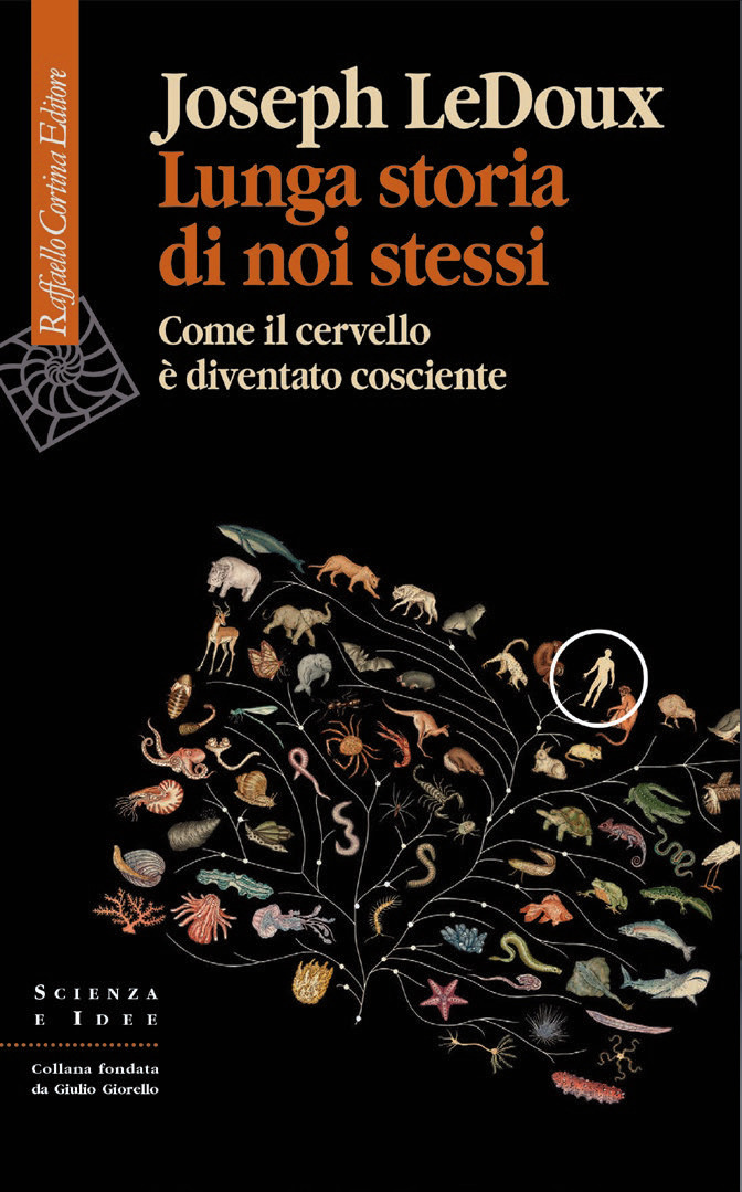 Libreria Internazionale Romagnosi snc