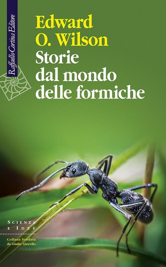 Storie dal mondo delle formiche - Edward O. Wilson - copertina