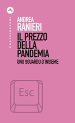 Il prezzo della pandemia. Uno sguardo d'insieme