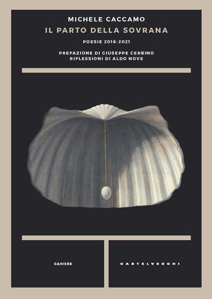 Il parto della sovrana. Poesie 2016-2021 - Michele Caccamo - copertina