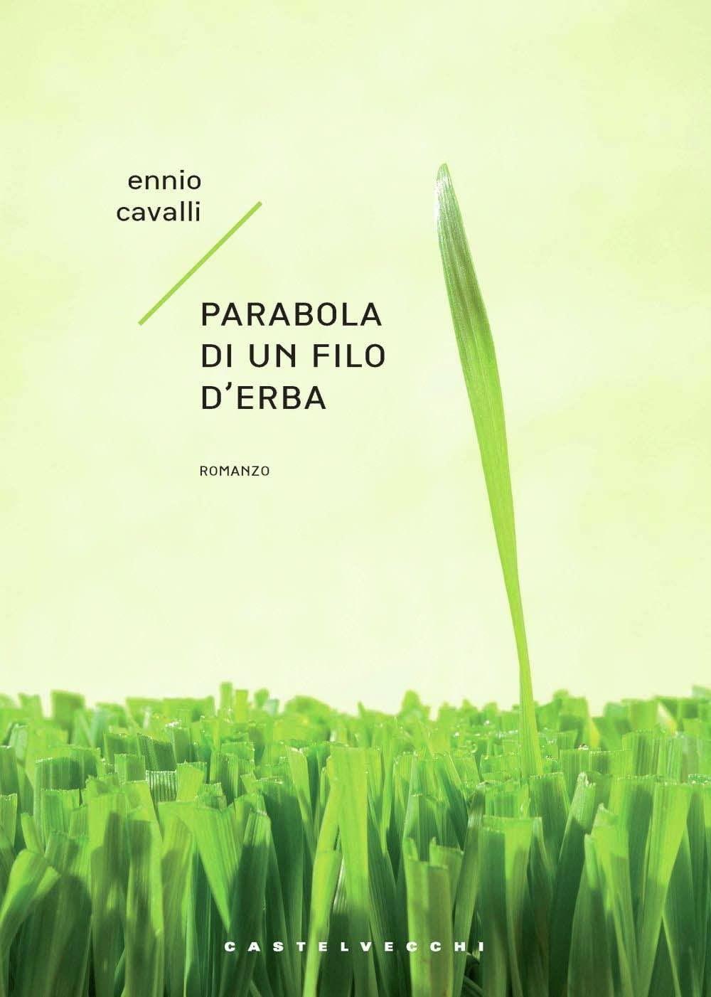 Libreria Serendipity