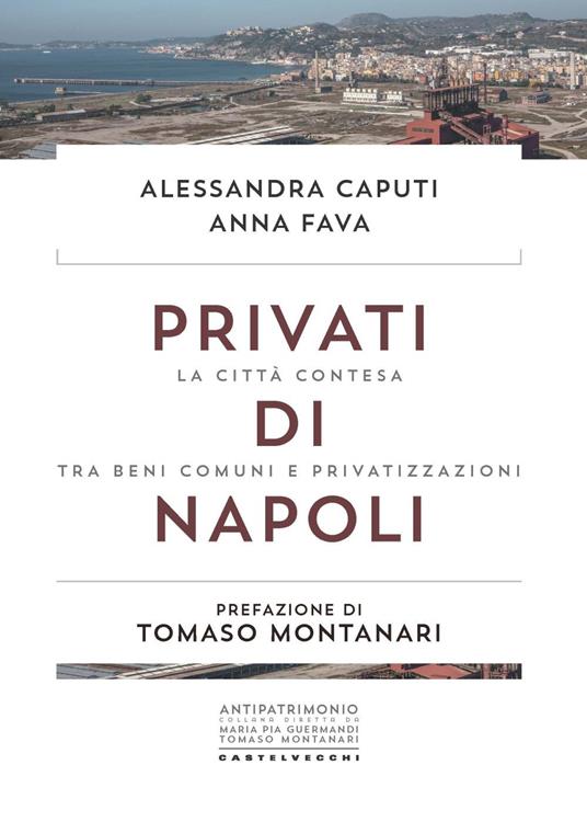 Privati di Napoli. La città contesa tra beni comuni e privatizzazioni - Alessandra Caputi,Anna Fava - copertina