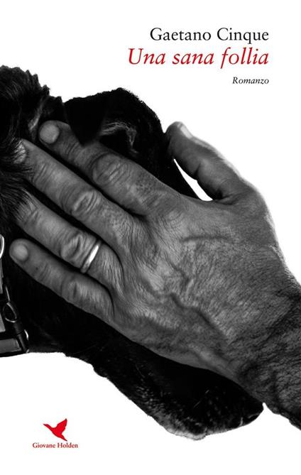 Una sana follia - Gaetano Cinque - ebook
