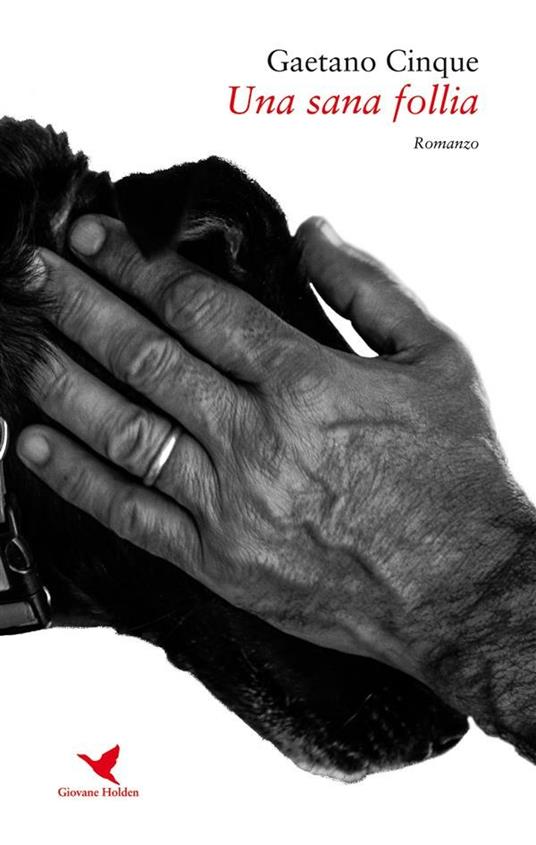 Una sana follia - Gaetano Cinque - ebook