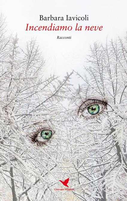 Incendiamo la neve - Barbara Iavicoli - copertina