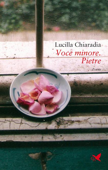 Voce minore. Pietre - Lucilla Chiaradia - copertina