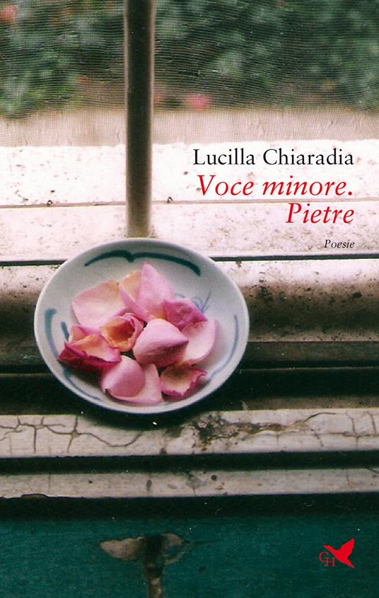 Voce minore. Pietre - Lucilla Chiaradia - copertina