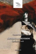 Antonello Silverini. Quello che si vede