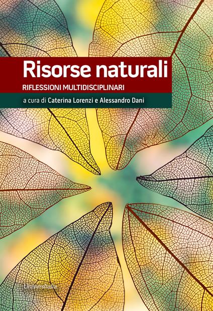 Risorse naturali. Riflessioni multidiscplinari - copertina