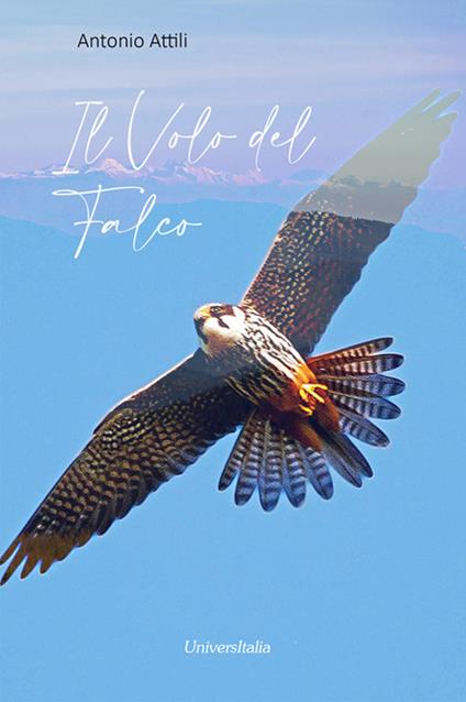 Il volo del falco. Ediz. per la scuola - Antonio Attili - copertina