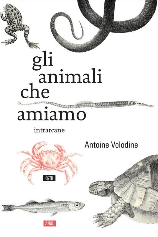 Gli animali che amiamo - Antoine Volodine,Anna D'Elia - ebook