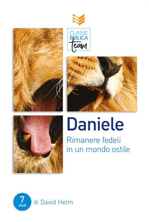 Daniele: rimanere fedeli in un mondo ostile - copertina