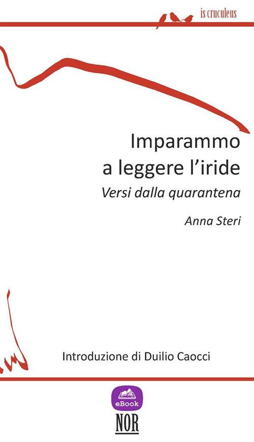 Imparammo a leggere l'iride. Versi della quarantena - Anna Steri - ebook