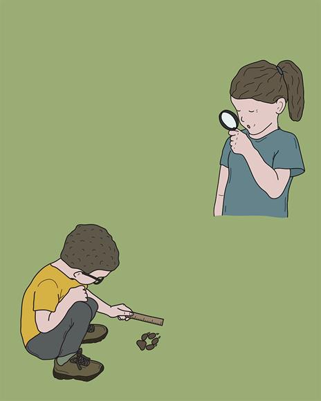 La biodiversità spiegata alle bambine e ai bambini. Un viaggio alla scoperta del nostro pianeta - Giulia Masiero,Mattia Carraro - 2