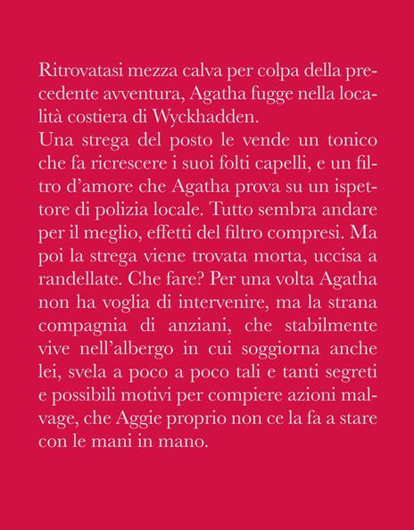 La strega di Wyckhadden. Agatha Raisin - M. C. Beaton - 2