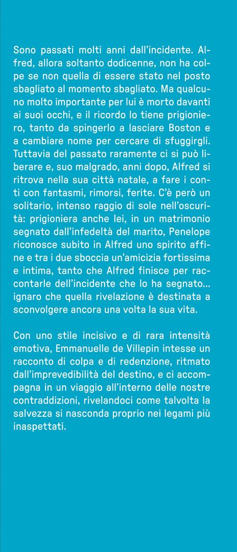 L'incidente - Emmanuelle de Villepin - 2
