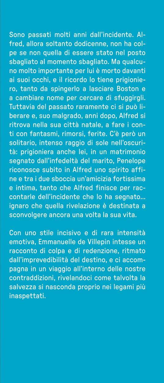 L'incidente - Emmanuelle de Villepin - 2