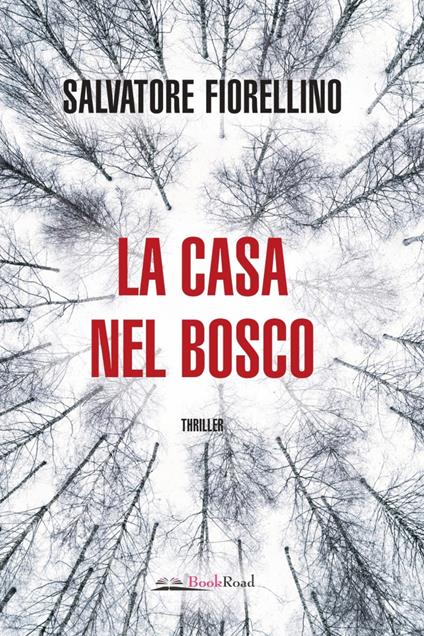 La casa nel bosco - Salvatore Fiorellino - ebook