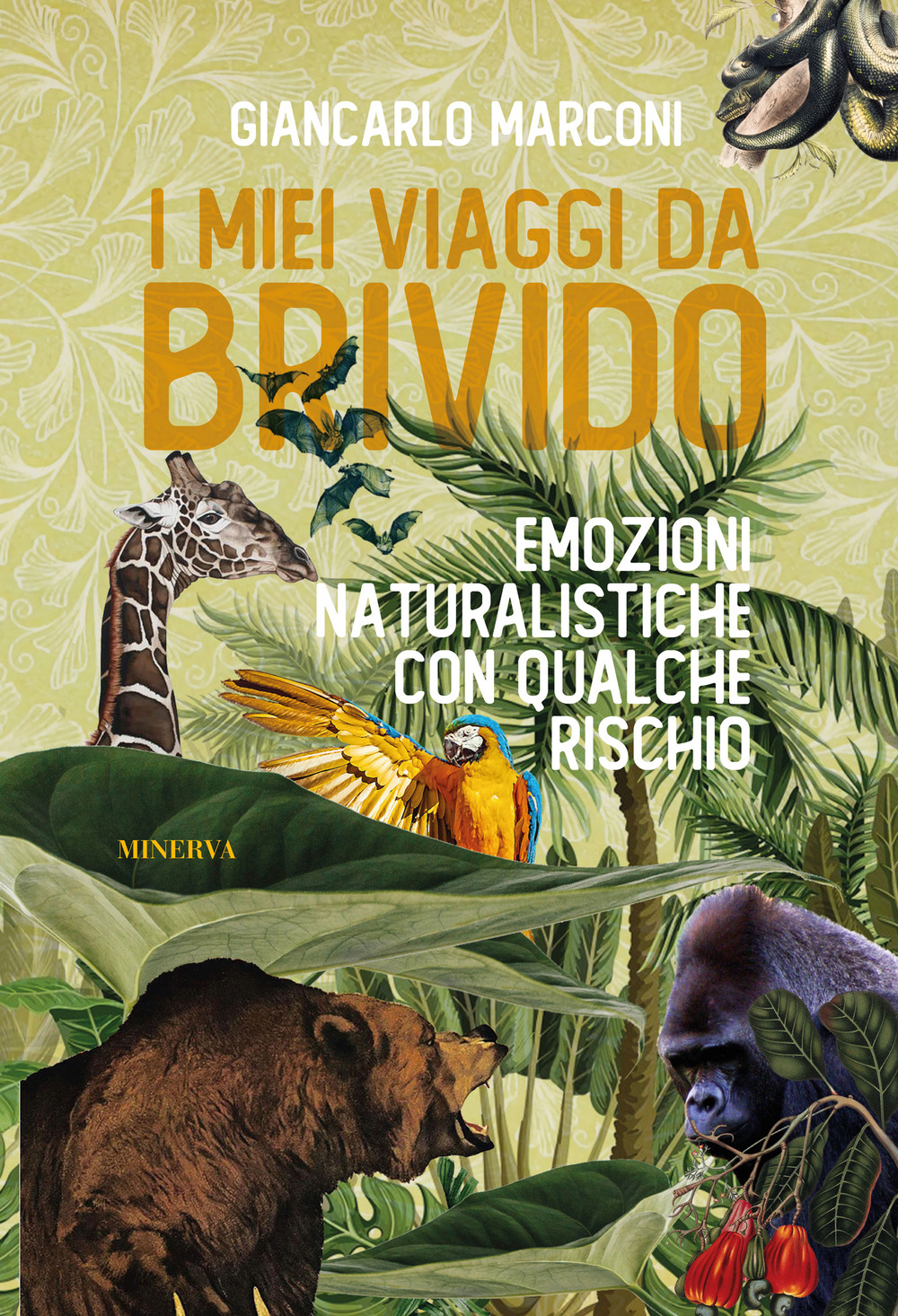 ibs