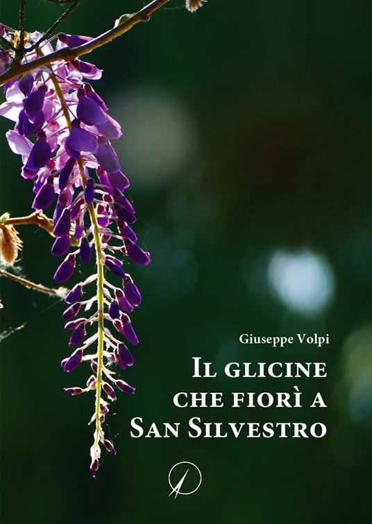 Il glicine che fiorì a San Silvestro - Giuseppe Volpi - copertina