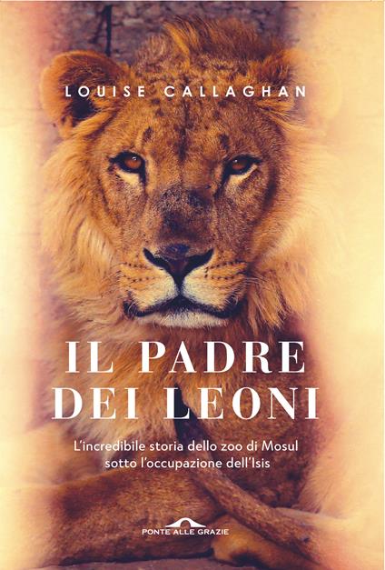 Il Padre dei leoni - Louise Callaghan,Sara Sedehi - ebook