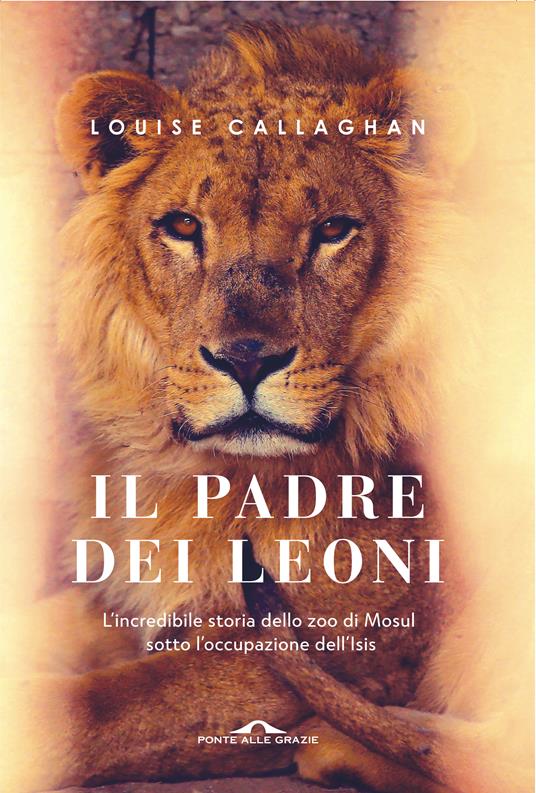 Il Padre dei leoni - Louise Callaghan,Sara Sedehi - ebook