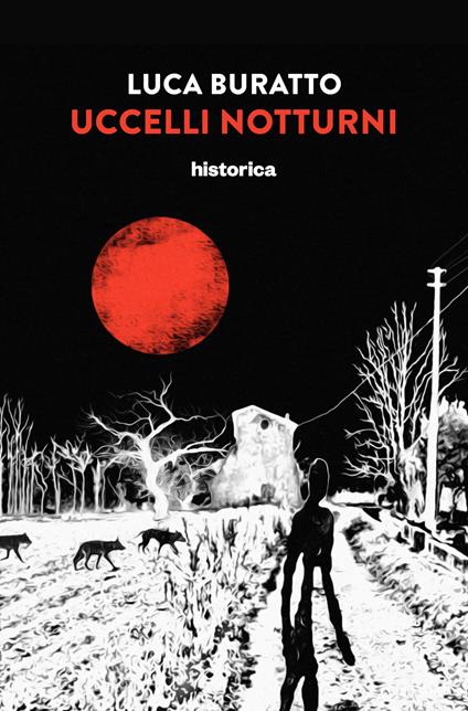 Uccelli notturni - Luca Buratto - copertina